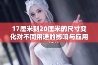 17厘米到20厘米的尺寸变化对不同用途的影响与应用分析