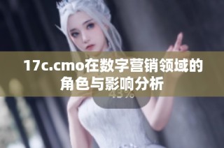 17c.cmo在数字营销领域的角色与影响分析