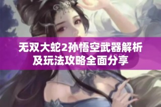无双大蛇2孙悟空武器解析及玩法攻略全面分享