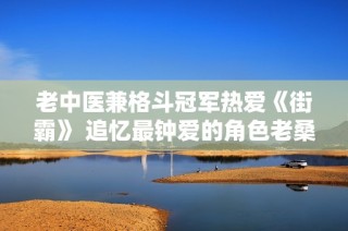 老中医兼格斗冠军热爱《街霸》 追忆最钟爱的角色老桑
