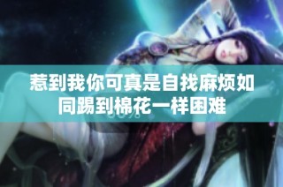 惹到我你可真是自找麻烦如同踢到棉花一样困难