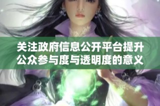 关注政府信息公开平台提升公众参与度与透明度的意义