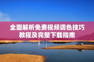 全面解析免费视频调色技巧教程及完整下载指南