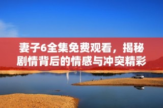 妻子6全集免费观看，揭秘剧情背后的情感与冲突精彩纷呈