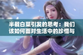 半截白菜引发的思考：我们该如何面对生活中的珍惜与放下