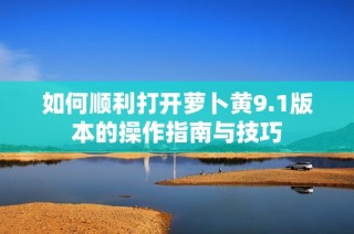 如何顺利打开萝卜黄9.1版本的操作指南与技巧