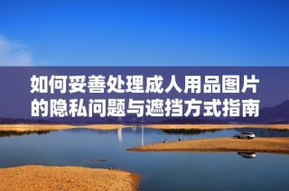 如何妥善处理成人用品图片的隐私问题与遮挡方式指南