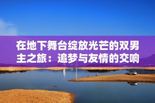 在地下舞台绽放光芒的双男主之旅：追梦与友情的交响曲