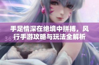 手足情深在绝境中拼搏，风行手游攻略与玩法全解析