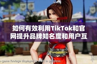 如何有效利用TikTok和官网提升品牌知名度和用户互动