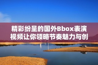 精彩纷呈的国外Bbox表演视频让你领略节奏魅力与创意精彩