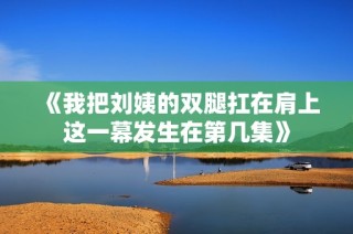 《我把刘姨的双腿扛在肩上这一幕发生在第几集》