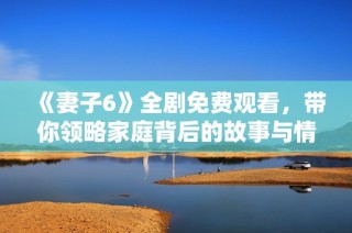 《妻子6》全剧免费观看，带你领略家庭背后的故事与情感纠葛
