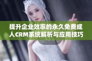 提升企业效率的永久免费成人CRM系统解析与应用技巧