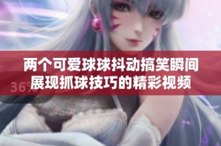 两个可爱球球抖动搞笑瞬间展现抓球技巧的精彩视频