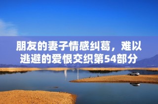 朋友的妻子情感纠葛，难以逃避的爱恨交织第54部分