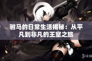 驸马的日常生活揭秘：从平凡到非凡的王室之旅