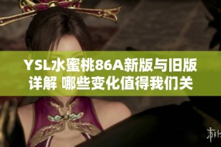 YSL水蜜桃86A新版与旧版详解 哪些变化值得我们关注与期待