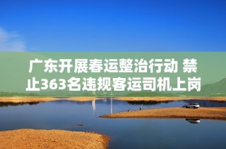 广东开展春运整治行动 禁止363名违规客运司机上岗