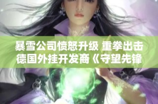 暴雪公司愤怒升级 重拳出击德国外挂开发商《守望先锋》维护决心再升级