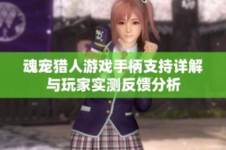 魂宠猎人游戏手柄支持详解与玩家实测反馈分析