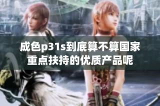 成色p31s到底算不算国家重点扶持的优质产品呢