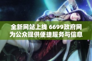 全新网站上线 6699政府网为公众提供便捷服务与信息获取