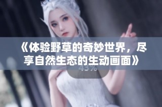 《体验野草的奇妙世界，尽享自然生态的生动画面》