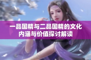 一品国精与二品国精的文化内涵与价值探讨解读