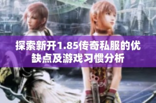 探索新开1.85传奇私服的优缺点及游戏习惯分析
