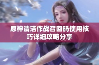 原神清洁作战召回码使用技巧详细攻略分享