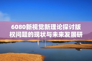 6080新视觉新理论探讨版权问题的现状与未来发展研究