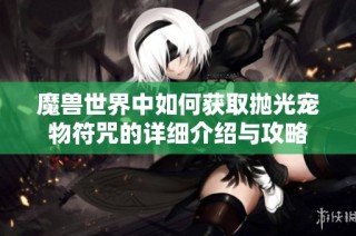 魔兽世界中如何获取抛光宠物符咒的详细介绍与攻略