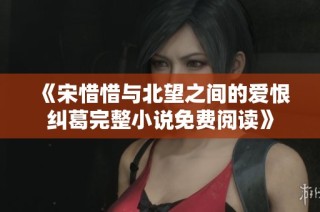 《宋惜惜与北望之间的爱恨纠葛完整小说免费阅读》