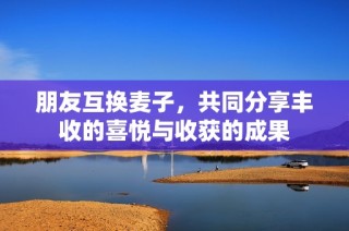 朋友互换麦子，共同分享丰收的喜悦与收获的成果