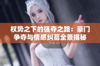 权势之下的强夺之路：豪门争夺与情感纠葛全景揭秘
