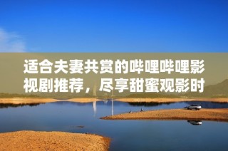 适合夫妻共赏的哔哩哔哩影视剧推荐，尽享甜蜜观影时光