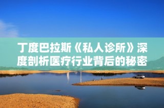丁度巴拉斯《私人诊所》深度剖析医疗行业背后的秘密与人性挣扎