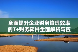 全面提升企业财务管理效率的T+财务软件全面解析与应用指南