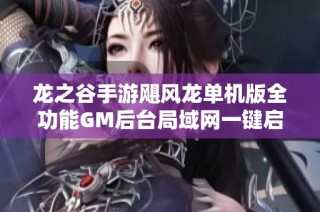 龙之谷手游飓风龙单机版全功能GM后台局域网一键启动体验攻略