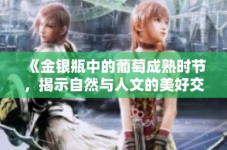 《金银瓶中的葡萄成熟时节，揭示自然与人文的美好交融》