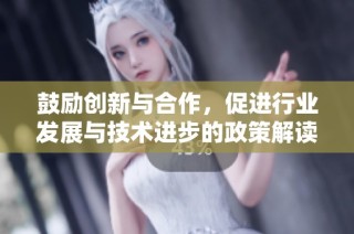 鼓励创新与合作，促进行业发展与技术进步的政策解读与建议