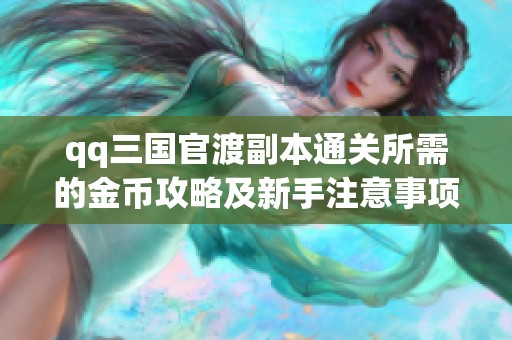 qq三国官渡副本通关所需的金币攻略及新手注意事项解析