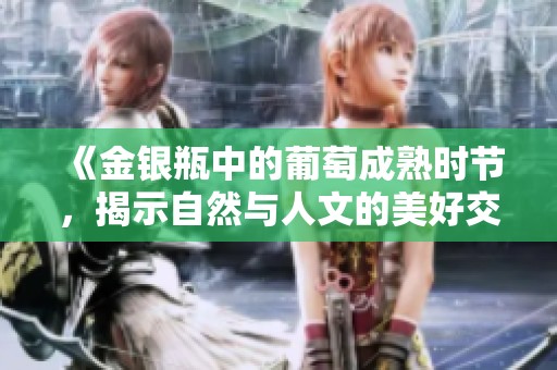 《金银瓶中的葡萄成熟时节，揭示自然与人文的美好交融》