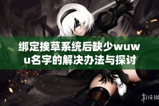 绑定挨草系统后缺少wuwu名字的解决办法与探讨