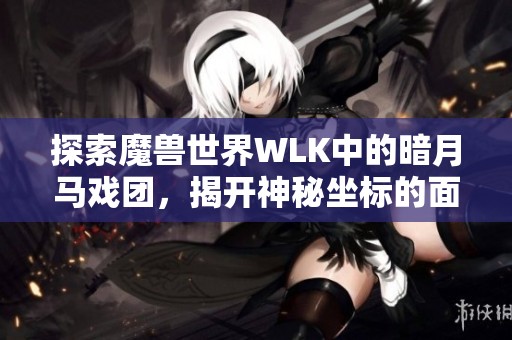 探索魔兽世界WLK中的暗月马戏团，揭开神秘坐标的面纱