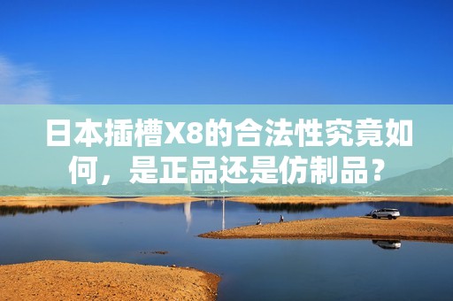 日本插槽X8的合法性究竟如何，是正品还是仿制品？