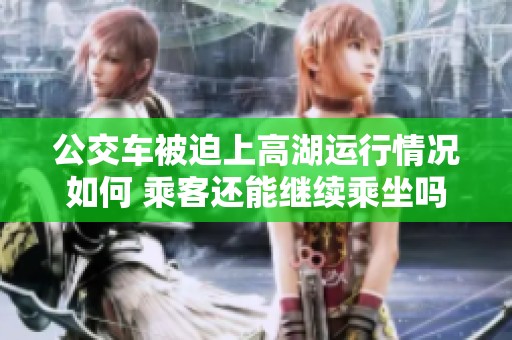 公交车被迫上高湖运行情况如何 乘客还能继续乘坐吗