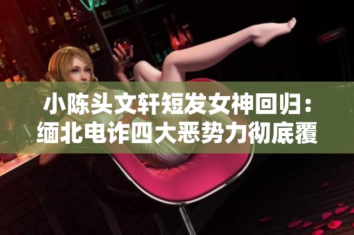 小陈头文轩短发女神回归：缅北电诈四大恶势力彻底覆灭揭秘