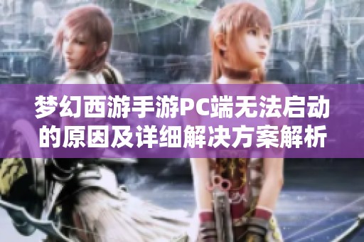 梦幻西游手游PC端无法启动的原因及详细解决方案解析